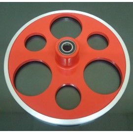 Disco de alinear delantero 17mm