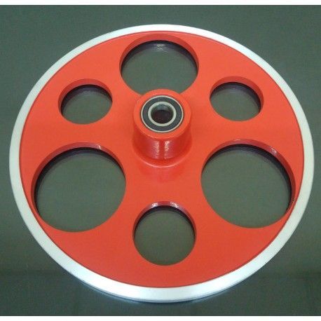 Disco de alinear delantero 17mm