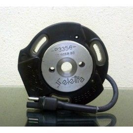 Estator y rotor Selettra